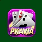 PKAVIA Game Logo