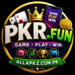 PKR.FUN ONLINE EARNING PLATFORM